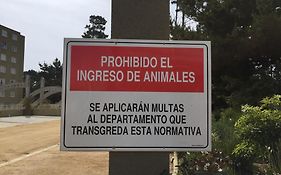 Departamento en la Playa